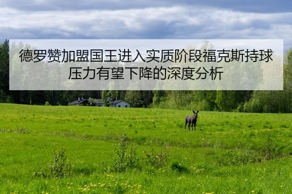 德罗赞加盟国王进入实质阶段福克斯持球压力有望下降的深度分析