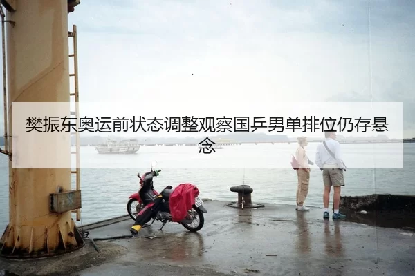 樊振东奥运前状态调整观察国乒男单排位仍存悬念